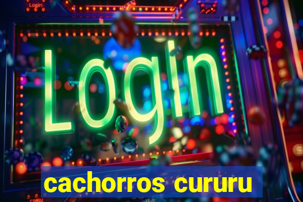 cachorros cururu